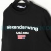 Alexander Wang - 23FW Colorful Flag Crew Neck Hoodie