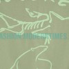 Arc Teryx - Washed embroidered polar bear short sleeve