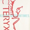 Arc Teryx - Front And Back Big Bird Logo Printed Short Sleeves