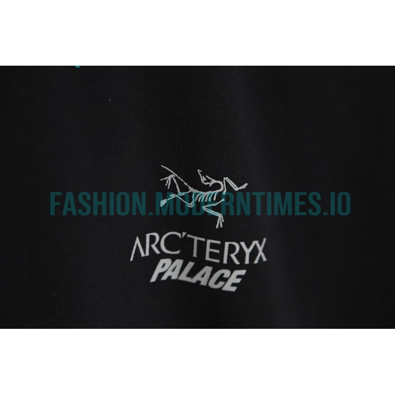 Arc Teryx - Palace Co-branded Short-sleeved T-shirt With Reflective Print