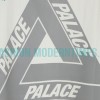 Arc Teryx - Palace Co-branded Short-sleeved T-shirt With Reflective Print