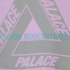Arc Teryx - Palace Co-branded Short-sleeved T-shirt With Reflective Print