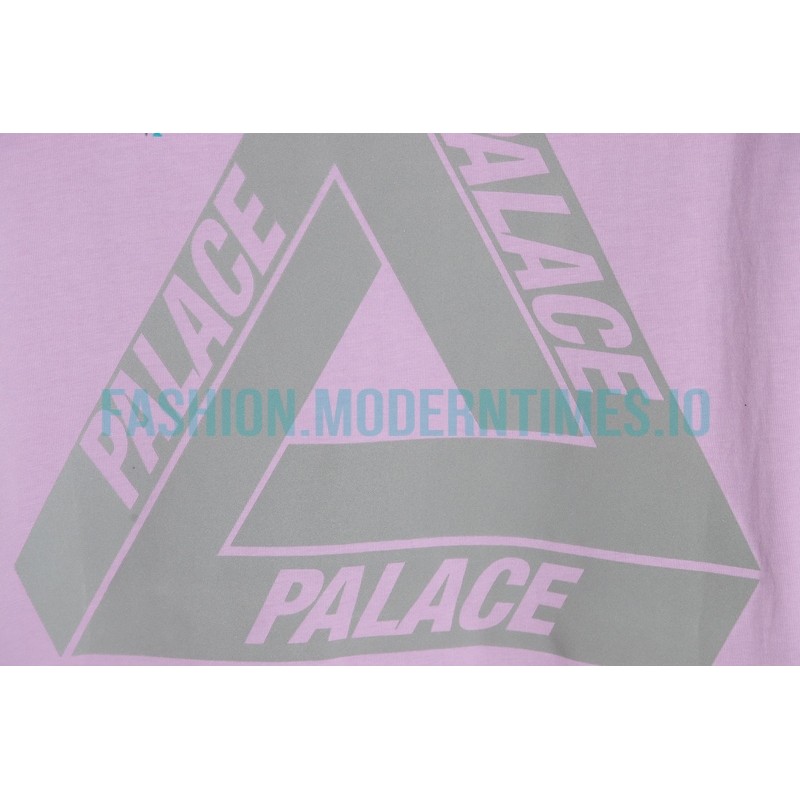 Arc Teryx - Palace Co-branded Short-sleeved T-shirt With Reflective Print