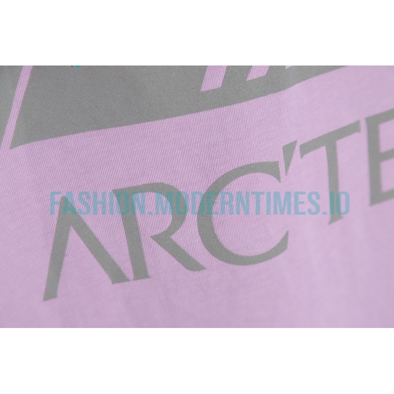 Arc Teryx - Palace Co-branded Short-sleeved T-shirt With Reflective Print