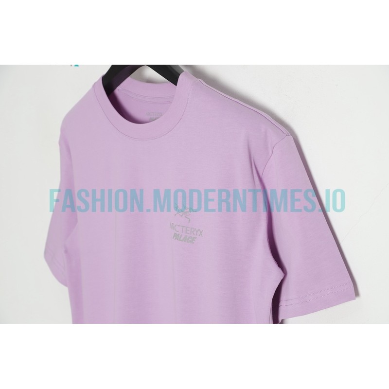 Arc Teryx - Palace Co-branded Short-sleeved T-shirt With Reflective Print