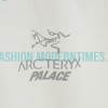Arc Teryx - Palace Co-branded Short-sleeved T-shirt With Reflective Print