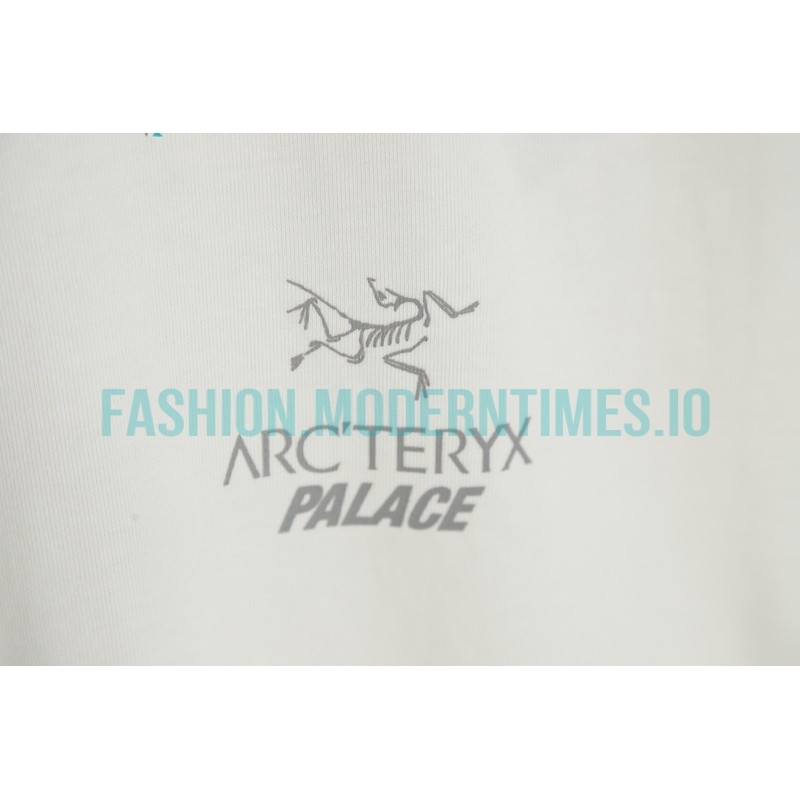 Arc Teryx - Palace Co-branded Short-sleeved T-shirt With Reflective Print