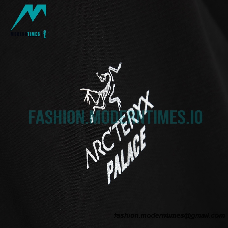 Arc Teryx - Palace Co-branded T-shirt