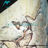 Arc Teryx - 23ss Fossil Print Short Sleeve