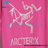 Arc'teryx - 23SS Color Matching Short-sleeved T-shirt With Bright Line