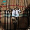 Burberry - Classic Check Shorts Pants