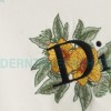 Dior - CD Floral Letter Logo Three-dimensional Embroidery Round Neck Hoodie