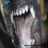 Givenchy - Big Dog Print Crewneck Short Sleeve T-shirt
