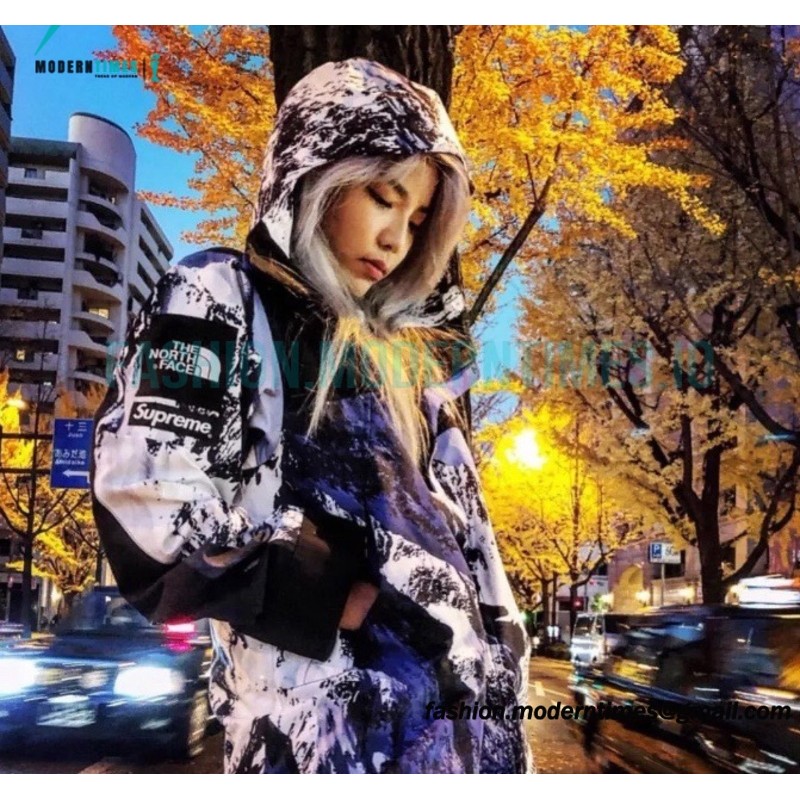 Supreme - The North Face Snowstorm Jacket