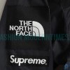 Supreme - The North Co-branded Face Lady Liberty Jacket