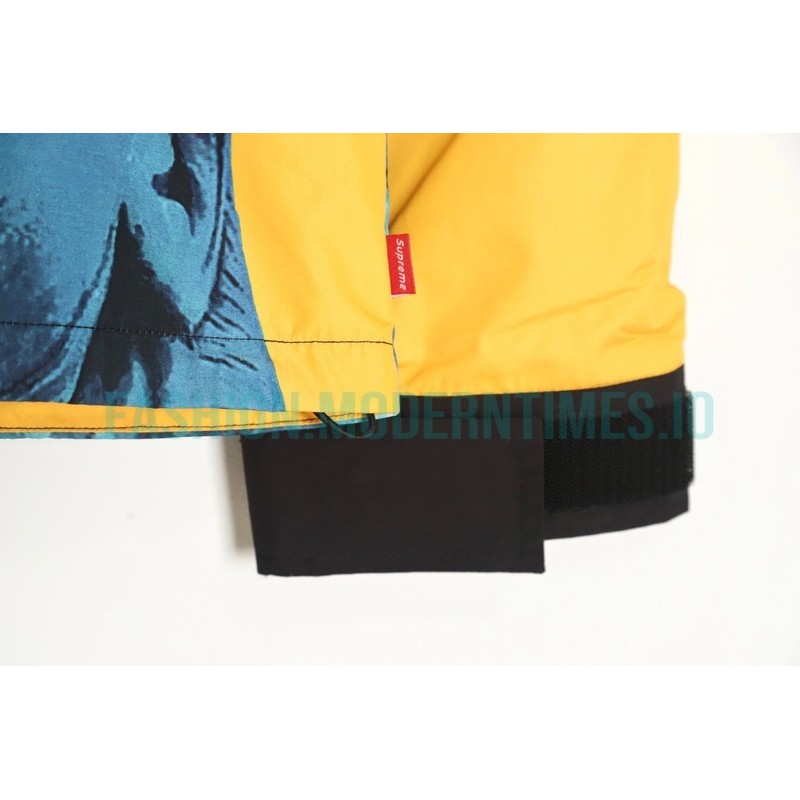 Supreme - The North Co-branded Face Lady Liberty Jacket
