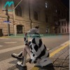 Off White - Mohair Sweater