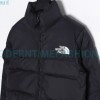 The North Face - 23SS 1992 Armband Korean Version Down Jacket
