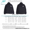 The North Face - 23SS 1992 Armband Korean Version Down Jacket